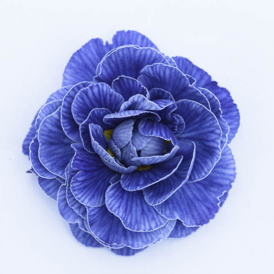 Примула Балерина 4. Baltic Blue горщик ф12 - Зображення 2