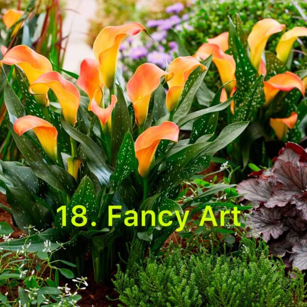 Кала 18. Fancy Art